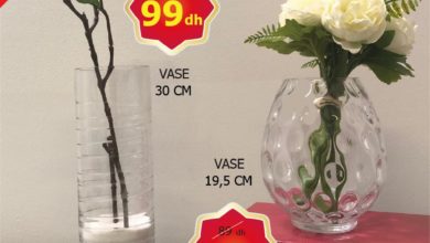 Promo Alpha55 Large choix de vases haut de gamme décoratifs à partir de 75Dhs