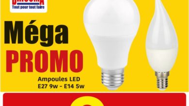 Méga PROMO Brioma Ampoules LED 9.90Dhs par pack de 3 pièces