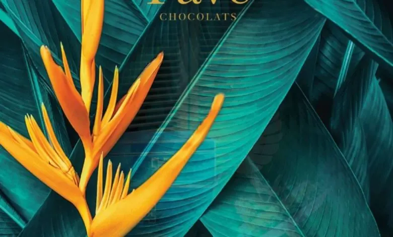 Catalogue Pavé Chocolats Entreprises 2020