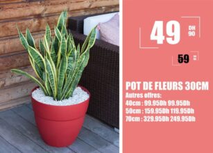 Soldes Aswak Assalam POT DE FLEURS 30CM 49Dhs au lieu de 59Dhs