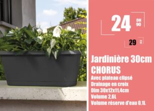 Soldes Aswak Assalam Jardinière 30cm CHORUS 24Dhs au lieu de 29Dhs
