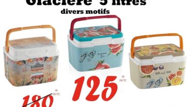Offre fraîcheur Bricodéco Maroc Glacière 5 litres divers motifs 125Dhs au lieu de 180Dhs