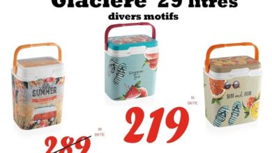 Offre fraîcheur Bricodéco Maroc Glacière 29 litres divers motifs 219Dhs au lieu de 289Dhs