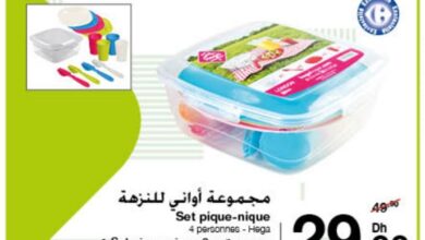 Soldes Carrefour Maroc Set de pique-nique personnes HEGA 29Dhs au lieu de 49Dhs