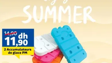Offre fraicheur chez Marjane 2 Accumulateurs de glace PM à 11.90Dhs au lieu de 14.90Dhs