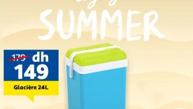 Offre fraîcheur chez Marjane Glacière 24 litres à 149Dhs au lieu de 179Dhs