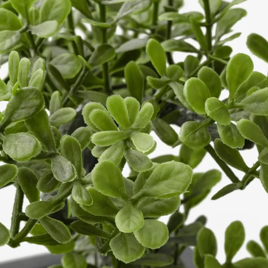 Soldes Ikea Maroc Plante artificielle en pot FEJKA 19Dhs au lieu de 26Dhs