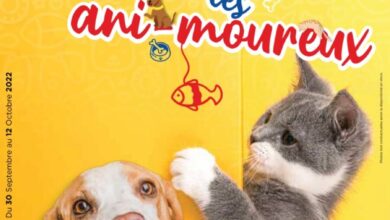 Catalogue Carrefour Maroc Offres Animals du 30 septembre au 12 octobre 2022