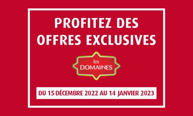 Catalogue Les Domaines Offres exclusives du 15 décembre au 14 janvier 2023