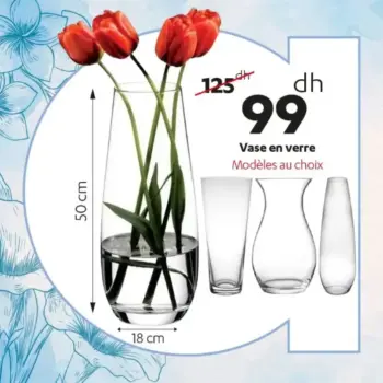 Vase en verre modèles au choix