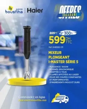 Mixeur plongeant HAIER