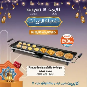 Planche de cuisson/Grille électrique 70cm HATCH