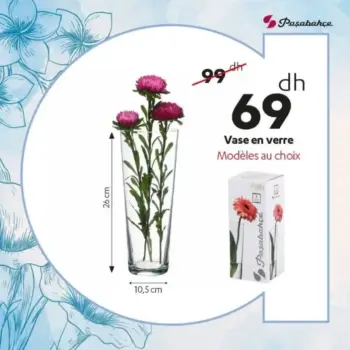 Vase en verre modèles au choix