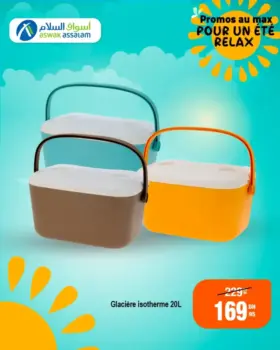 Glacière isotherme 20 litres