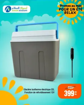 Glacière isotherme électrique 22 litres