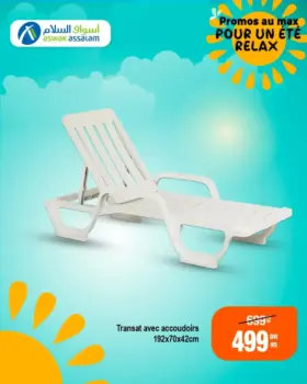 Transat avec accoudoir 192x70x42cm