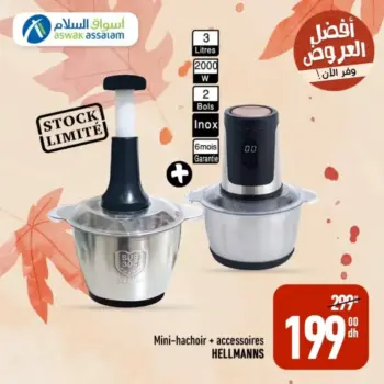 Mini-hachoir avec accessoires HELLMANNS