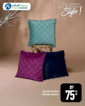 Coussin 45x45cm large choix