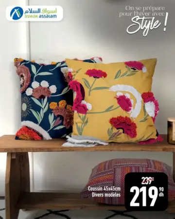 Coussin 45x45cm divers modèles