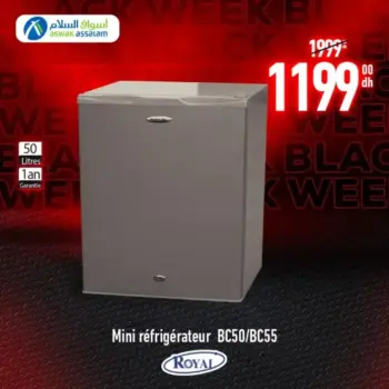 Mini réfrigérateur 50 litres ROYAL
