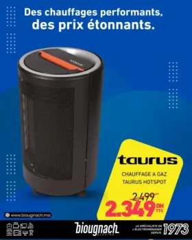 Chauffage à gaz HOTSPOT TAURUS